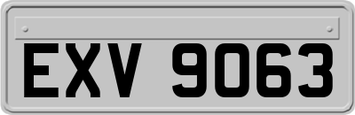 EXV9063