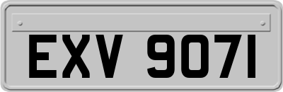 EXV9071