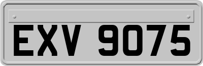 EXV9075