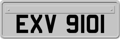 EXV9101