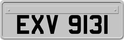 EXV9131