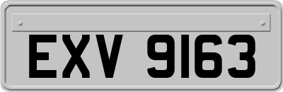 EXV9163