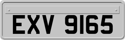 EXV9165
