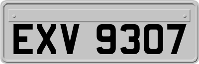 EXV9307