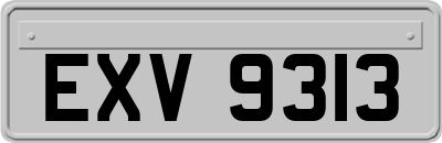 EXV9313