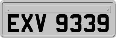 EXV9339