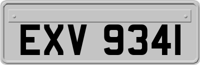 EXV9341