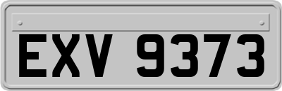 EXV9373
