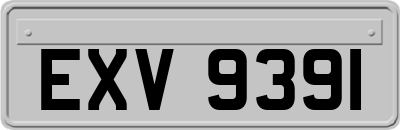 EXV9391
