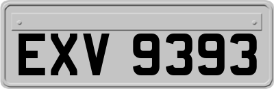 EXV9393