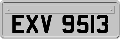 EXV9513