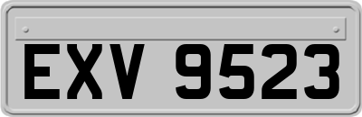 EXV9523