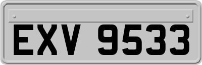 EXV9533