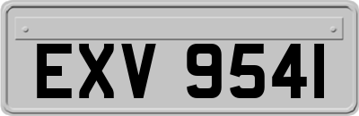 EXV9541