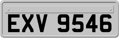EXV9546