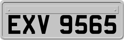 EXV9565