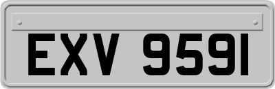 EXV9591