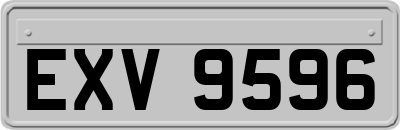 EXV9596
