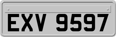 EXV9597
