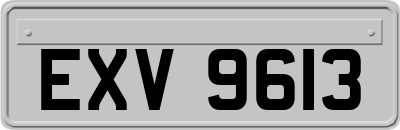 EXV9613