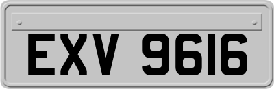 EXV9616
