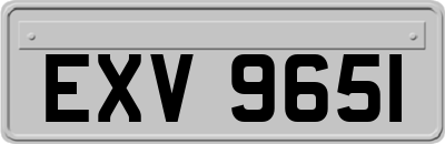 EXV9651