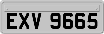 EXV9665
