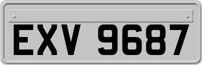 EXV9687