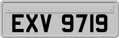 EXV9719