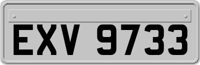 EXV9733