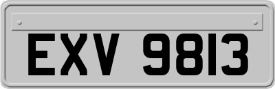 EXV9813