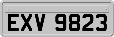 EXV9823