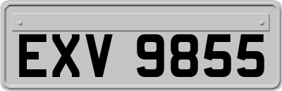 EXV9855