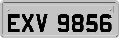 EXV9856