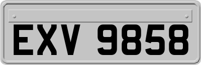 EXV9858