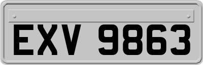 EXV9863