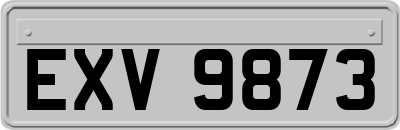 EXV9873