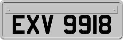 EXV9918