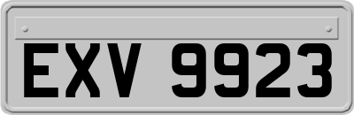 EXV9923