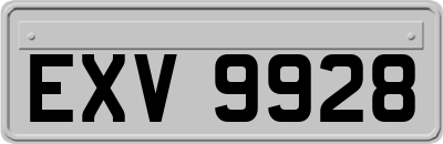 EXV9928