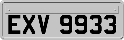 EXV9933