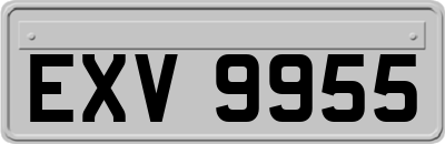 EXV9955