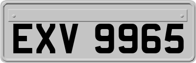 EXV9965