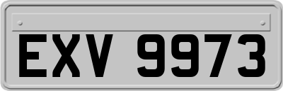 EXV9973