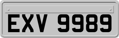 EXV9989