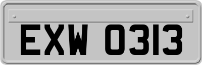 EXW0313