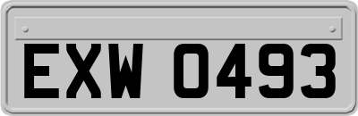 EXW0493