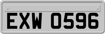 EXW0596