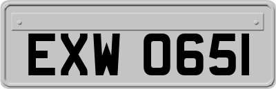 EXW0651