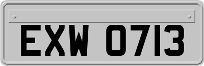 EXW0713